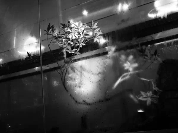Monolog #01