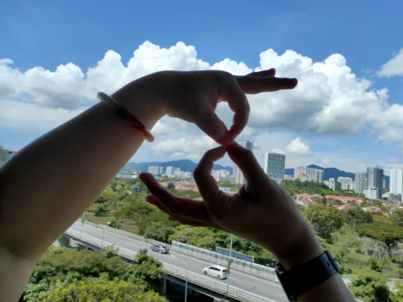 69 hand sign